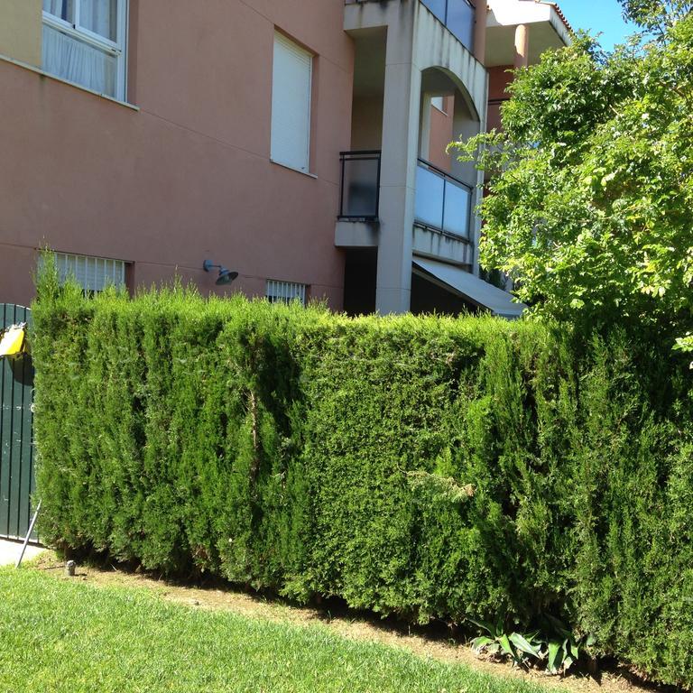 Divi Apartments Коста Балена Екстериор снимка